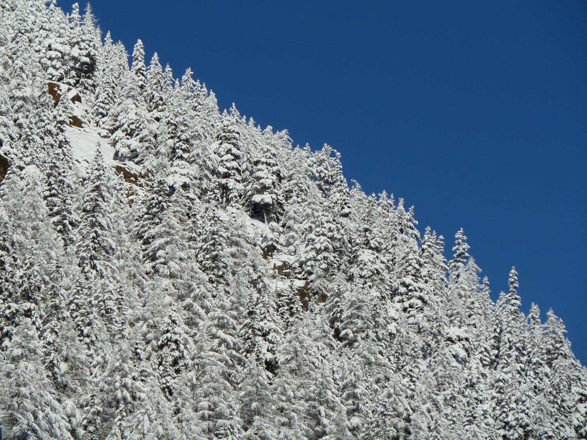 Appartement Gurgl Obergurgl Εξωτερικό φωτογραφία